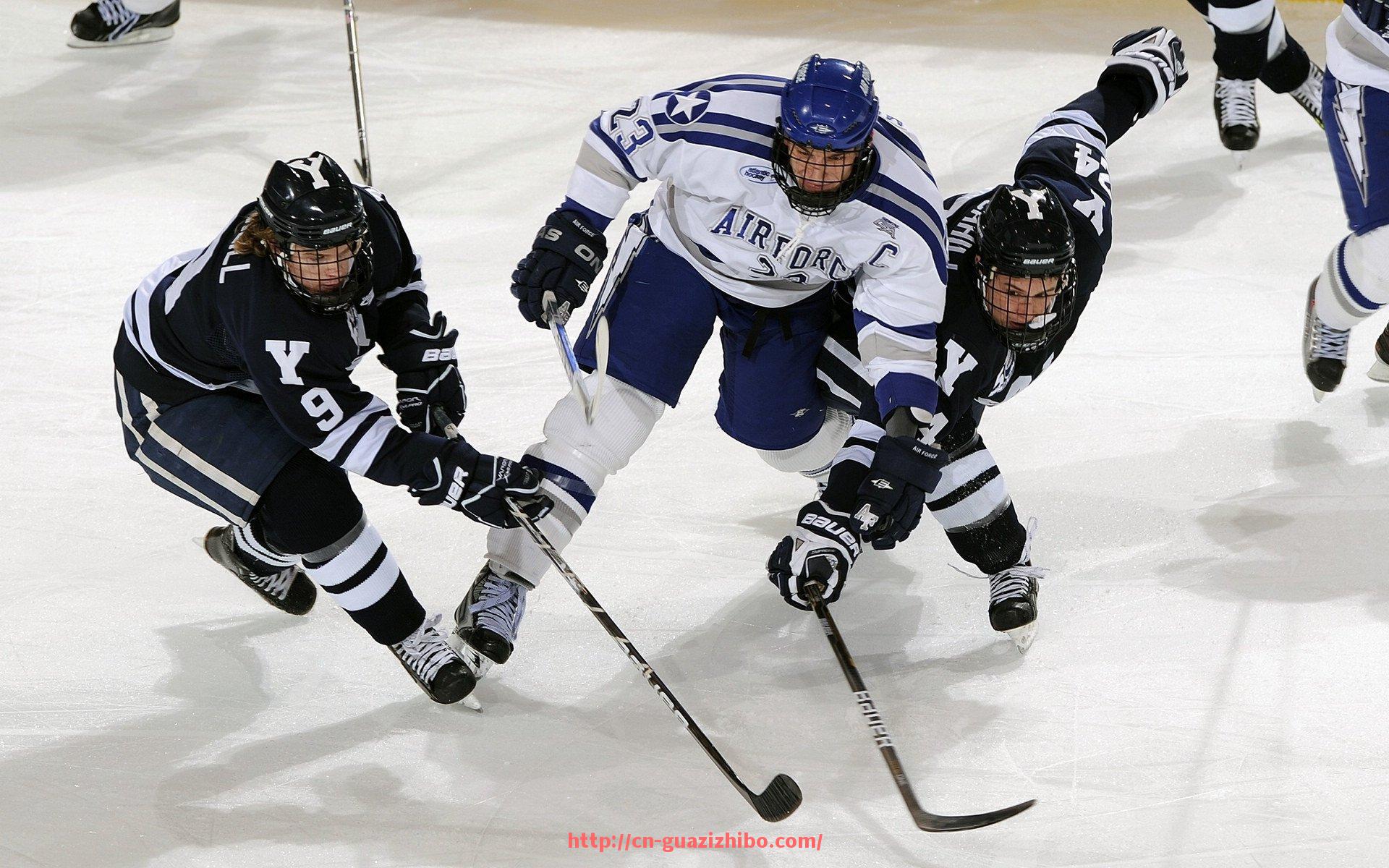 瓜子直播-综合家用健身器材价格详解及运动健身设备选择指南